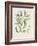 Antique Almond Botanical IV-de Langlois-Framed Art Print