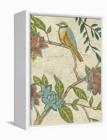 Antique Aviary IV-Chariklia Zarris-Framed Stretched Canvas