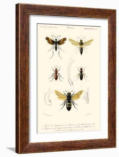 Antique Bees I-Blanchard-Framed Art Print
