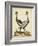 Antique Bird Menagerie VII-George Edwards-Framed Art Print