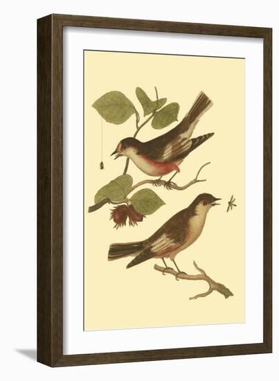 Antique Bird Pair I-James Bolton-Framed Art Print