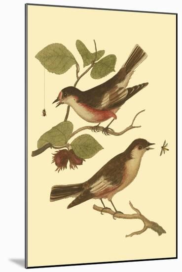 Antique Bird Pair I-James Bolton-Mounted Art Print