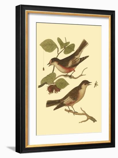 Antique Bird Pair I-James Bolton-Framed Art Print