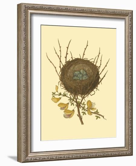 Antique Bird's Nest II-James Bolton-Framed Art Print