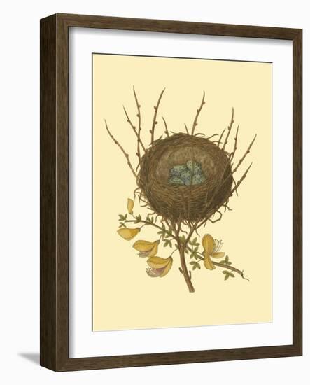 Antique Bird's Nest II-James Bolton-Framed Art Print