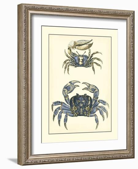 Antique Blue Crabs II-Vision Studio-Framed Art Print