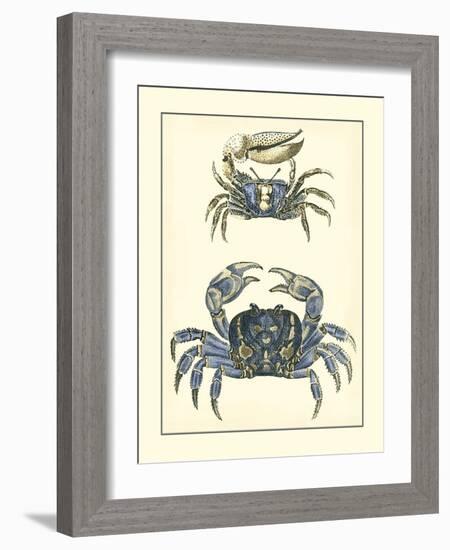 Antique Blue Crabs II-Vision Studio-Framed Art Print