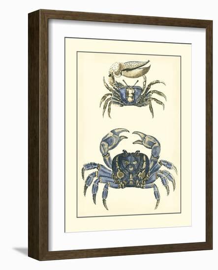 Antique Blue Crabs II-Vision Studio-Framed Art Print