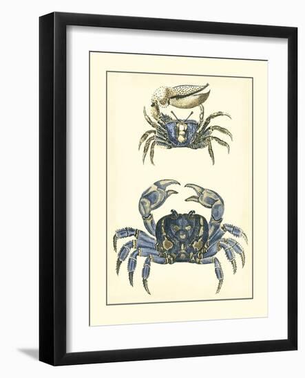 Antique Blue Crabs II-Vision Studio-Framed Art Print