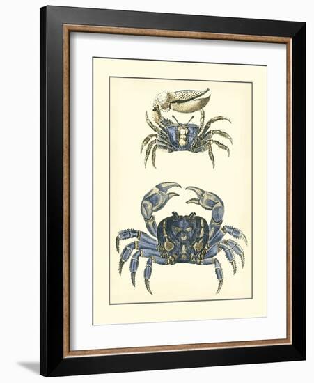 Antique Blue Crabs II-Vision Studio-Framed Art Print