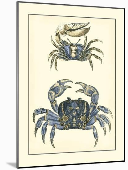 Antique Blue Crabs II-Vision Studio-Mounted Art Print