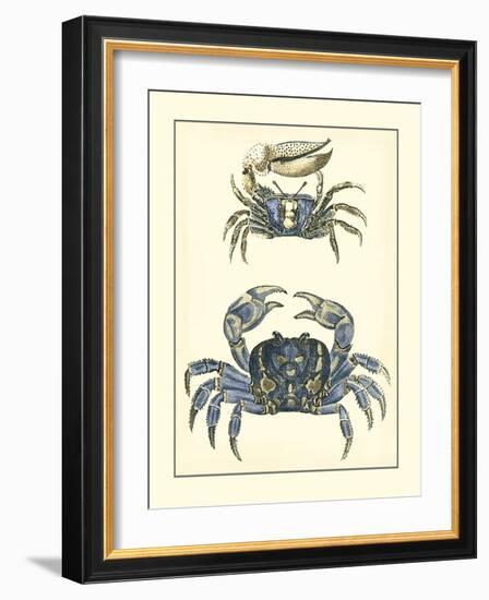 Antique Blue Crabs II-Vision Studio-Framed Art Print