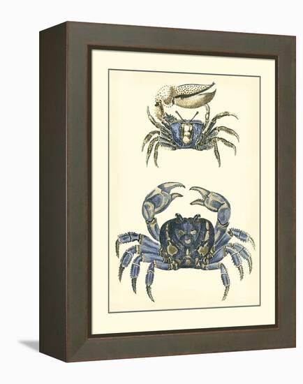 Antique Blue Crabs II-Vision Studio-Framed Stretched Canvas