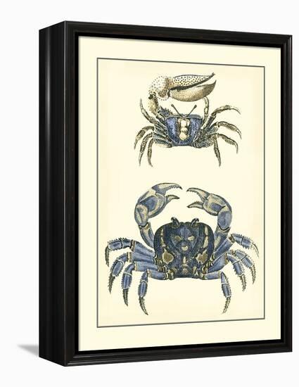 Antique Blue Crabs II-Vision Studio-Framed Stretched Canvas