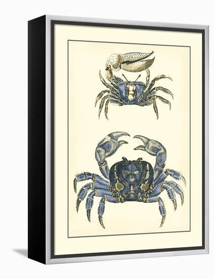 Antique Blue Crabs II-Vision Studio-Framed Stretched Canvas