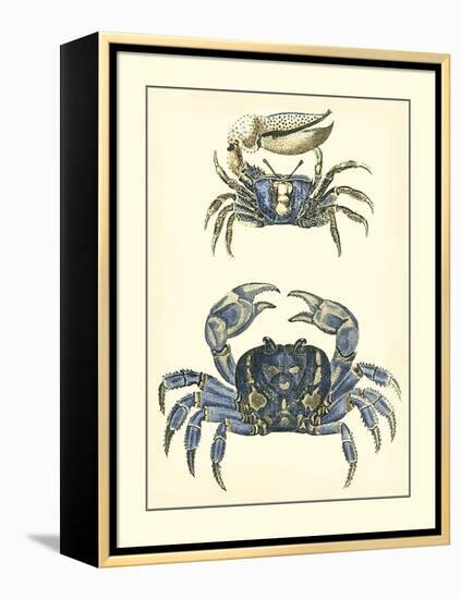 Antique Blue Crabs II-Vision Studio-Framed Stretched Canvas