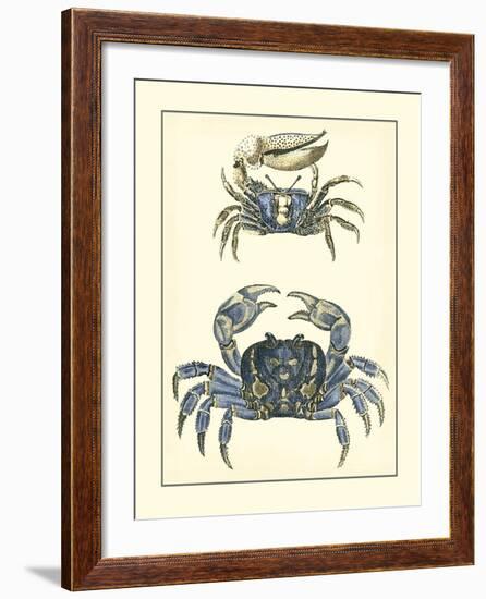 Antique Blue Crabs II-Vision Studio-Framed Art Print