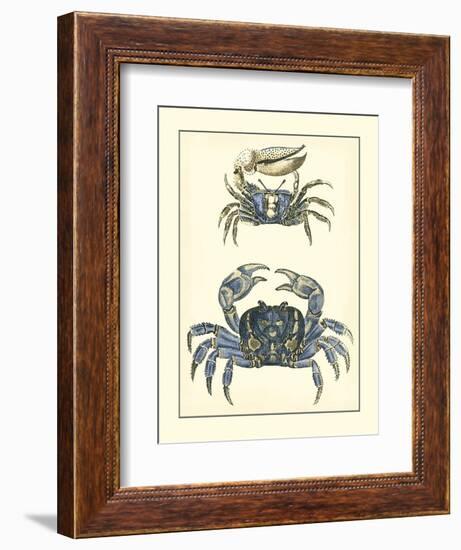 Antique Blue Crabs II-Vision Studio-Framed Art Print