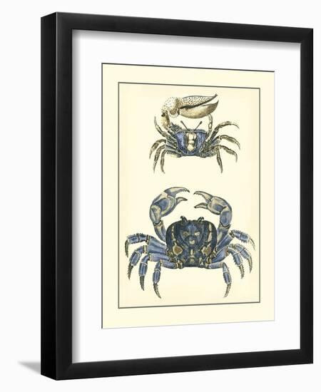 Antique Blue Crabs II-Vision Studio-Framed Art Print