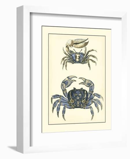 Antique Blue Crabs II-Vision Studio-Framed Art Print