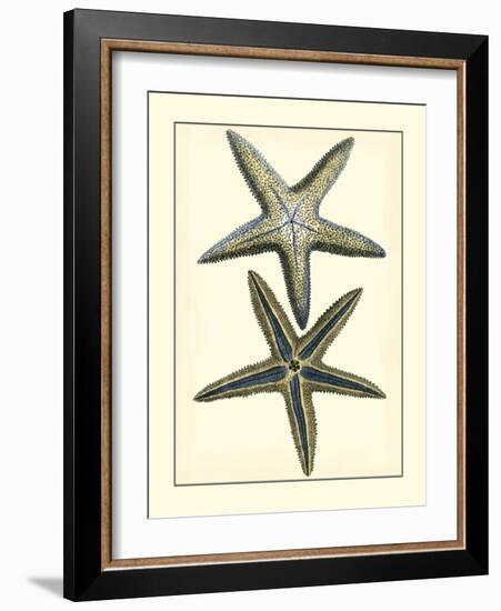 Antique Blue Starfish I-Vision Studio-Framed Art Print