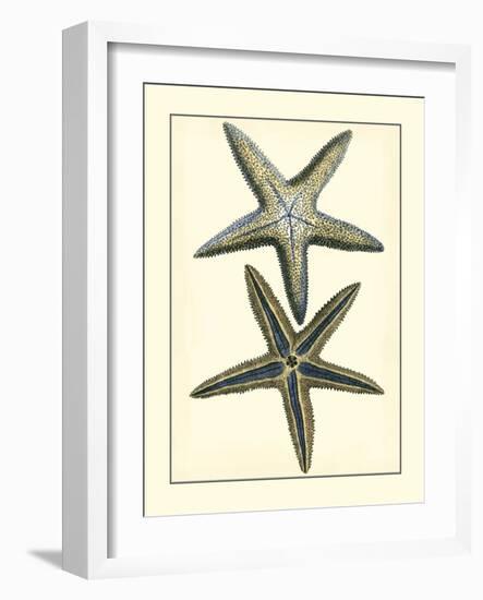 Antique Blue Starfish I-Vision Studio-Framed Art Print