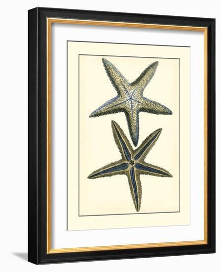 Antique Blue Starfish I-Vision Studio-Framed Art Print