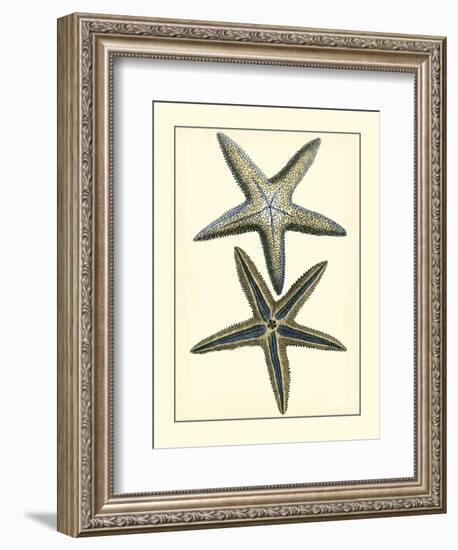 Antique Blue Starfish I-Vision Studio-Framed Art Print