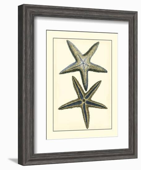 Antique Blue Starfish I-Vision Studio-Framed Art Print