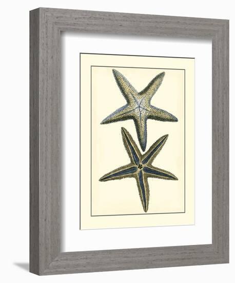 Antique Blue Starfish I-Vision Studio-Framed Art Print
