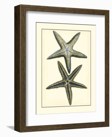 Antique Blue Starfish I-Vision Studio-Framed Art Print