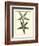 Antique Blue Starfish I-Vision Studio-Framed Art Print