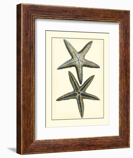Antique Blue Starfish I-Vision Studio-Framed Art Print