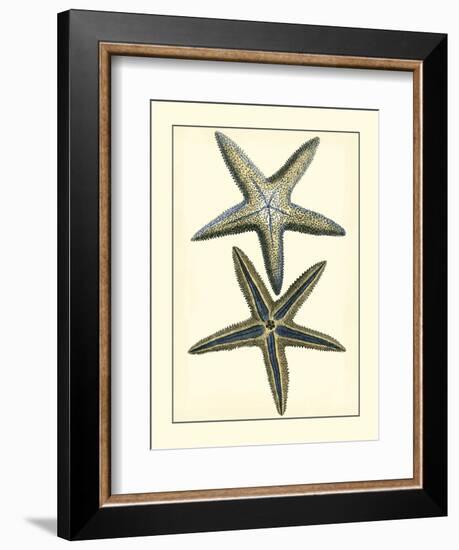 Antique Blue Starfish I-Vision Studio-Framed Art Print