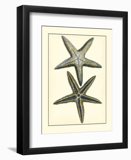 Antique Blue Starfish I-Vision Studio-Framed Art Print