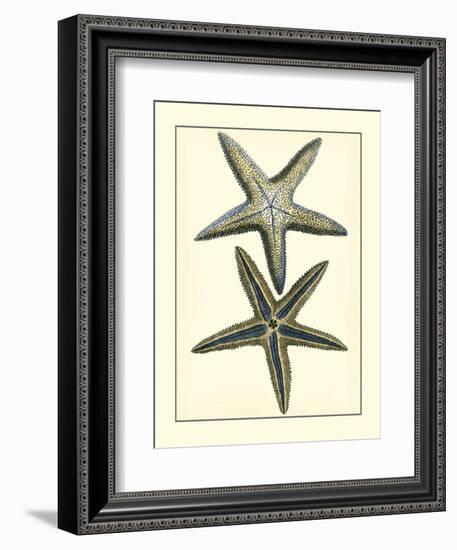 Antique Blue Starfish I-Vision Studio-Framed Art Print