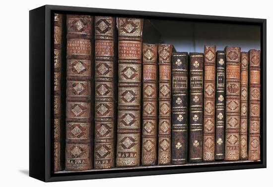 Antique Books-null-Framed Premier Image Canvas