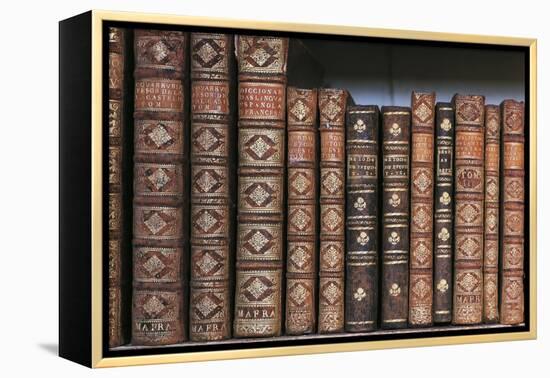 Antique Books-null-Framed Premier Image Canvas