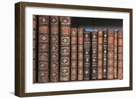 Antique Books-null-Framed Photographic Print