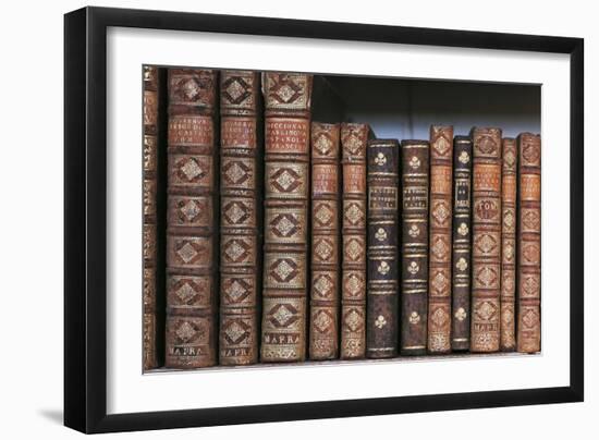 Antique Books-null-Framed Photographic Print