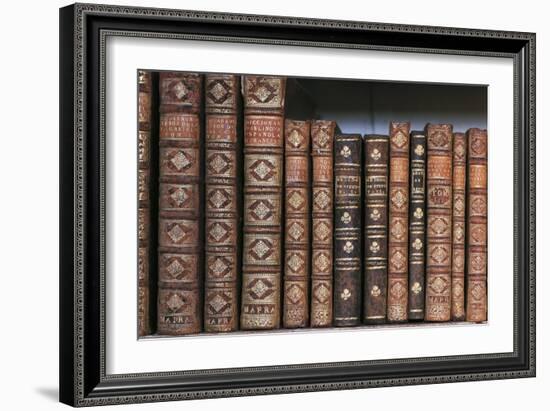 Antique Books-null-Framed Photographic Print