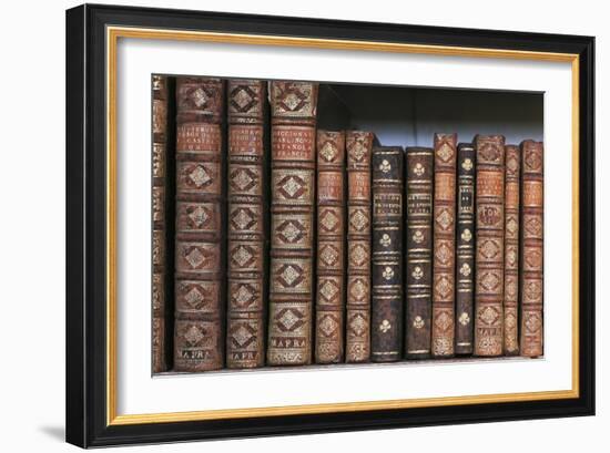 Antique Books-null-Framed Photographic Print