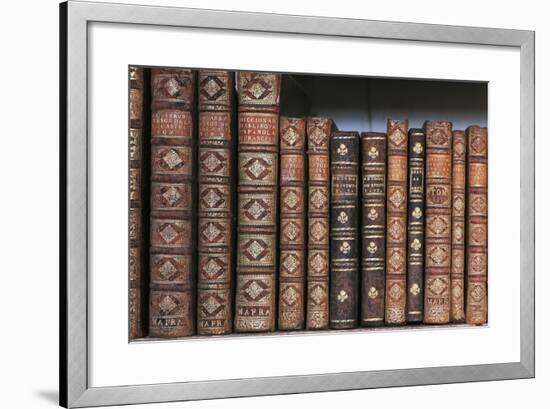 Antique Books-null-Framed Photographic Print