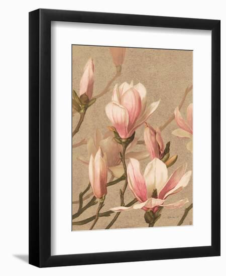 Antique Botanical Collection 4-Stellar Design Studio-Framed Art Print