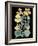 Antique Botanical XVII Cool on Black-Wild Apple Portfolio-Framed Art Print