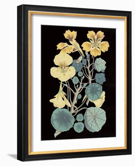 Antique Botanical XVII Cool on Black-Wild Apple Portfolio-Framed Art Print