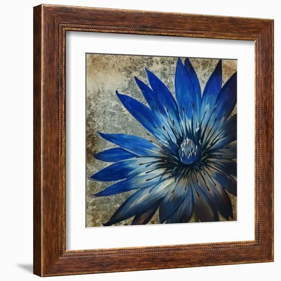 Antique Botanicals III-Liz Jardine-Framed Art Print