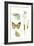Antique Butterflies and Leaves III-Vision Studio-Framed Art Print