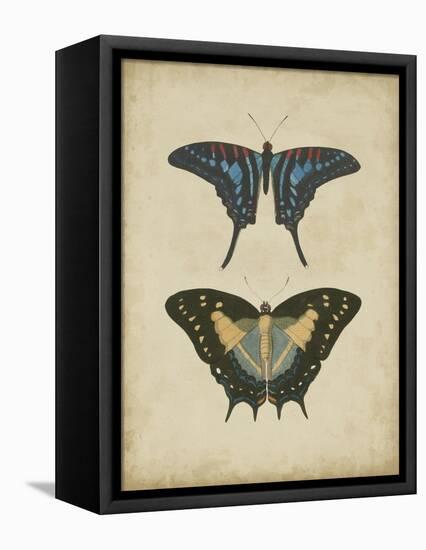 Antique Butterfly Pair III-Vision Studio-Framed Stretched Canvas