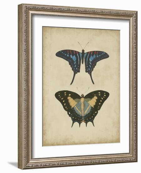 Antique Butterfly Pair III-Vision Studio-Framed Art Print